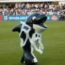 dias479 avatar