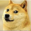 dedowg