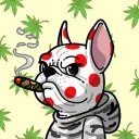 seanypai