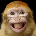 ___monkey