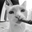 .bubbaa