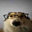 rat.thing_