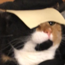 avatar I’mNotSpecial