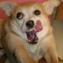 thateffer