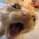 kychnn