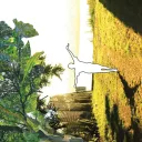 suburbia_overture