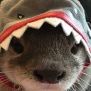 _awfy