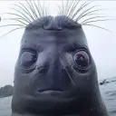 gmsgarcia