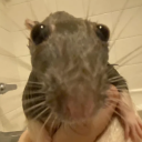 avatar Pascal | Foodorus