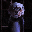 avatar Pascal | Foodorus