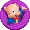 springycash