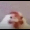.valyo