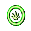 indica.133#9389's avatar