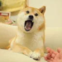 hunyeti