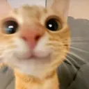 veryinsanee