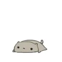 imtired8439