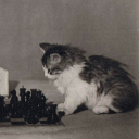 avatar Full bridge Rectifier