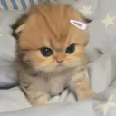 khijeaw_99