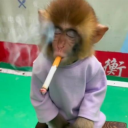 gangfiv