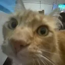zachychan360