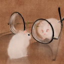 avatar WaddlingAround