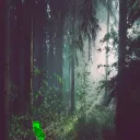 kelemit.