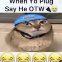 sarg_s