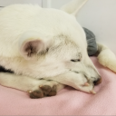 mocausagi#2804's avatar