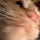 im.mochi