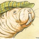 MoleratOfTheHat's avatar