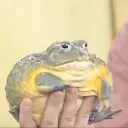 chubbbbbsy