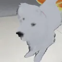mpbutti
