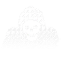 arin_lp