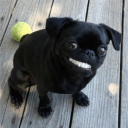 avatar KamczorZiomal