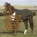 luizz_ecv