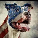 ssgt_pitbull