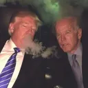 speedyg420 avatar