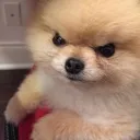 isdoara