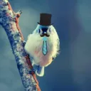 mattrolol