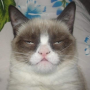 avatar chogattina