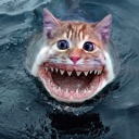 Disturbed Jaws