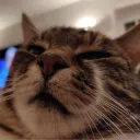 bettyswollocks69