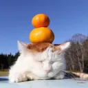 yujuyeyo