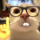 avatar Pisic urduros