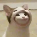 yobb1n