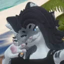 mochidoesvr