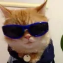 swagmessiah.