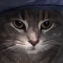 thealdew