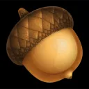 acorncadet