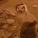 solllthy avatar